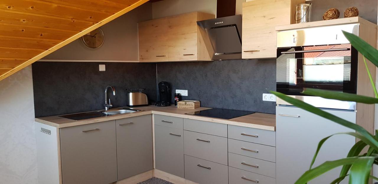 Appartment Sonnenblick Dielheim Dış mekan fotoğraf
